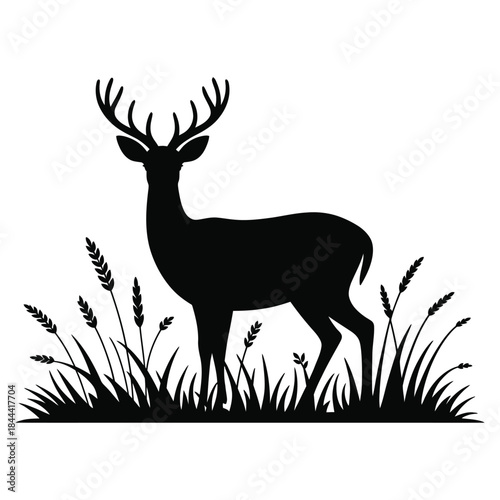 silhouette of a deer