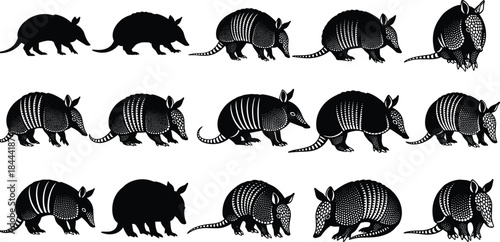 Armadillo silhouette collection showing different poses and walking positions, wild animal illustration set isolated on white background