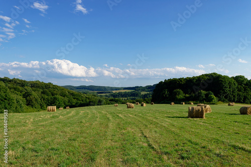 Scenic view of a green field with hay bales under a bright blue sky with clouds.