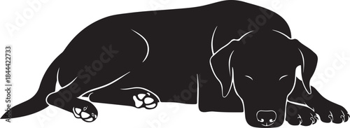 Black dog sleeping peacefully in silhouette