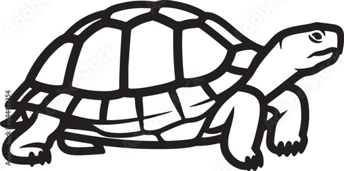 Simple black and white turtle outline drawing