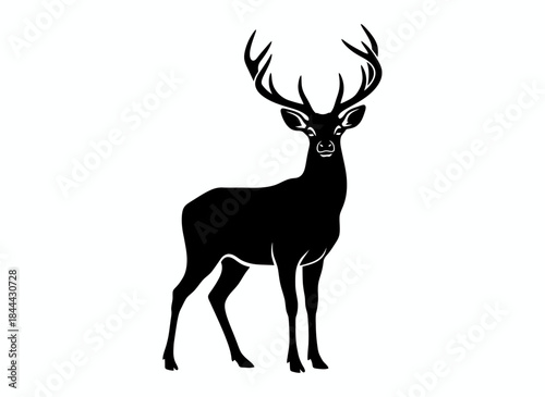 Majestic deer stag with large antlers standing for wildlife nature hunting forest animal woodland masculine elegant branding design