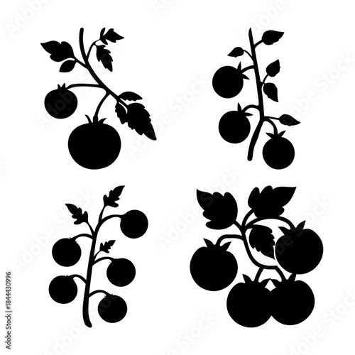 Stylized tomato plant branch silhouettes with leaves and fruit.