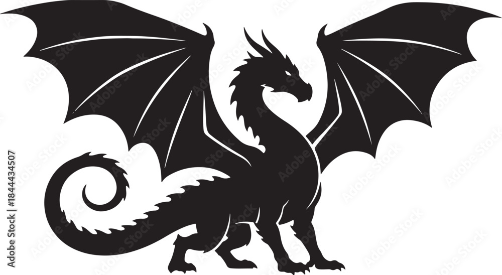 Obraz premium black silhouette of dragon on white background, vector