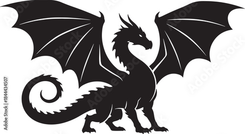 black silhouette of dragon on white background, vector