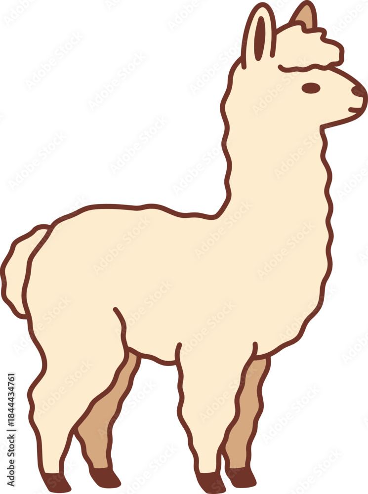 Obraz premium 알파카