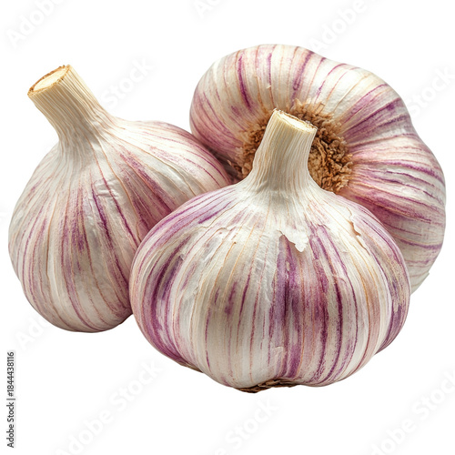 garlic isolated on a white background