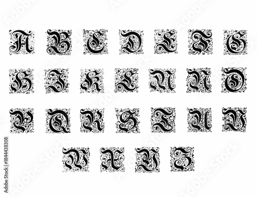 Photography Decorative alphabet letter design with artistic and ornate typography and detailed linework