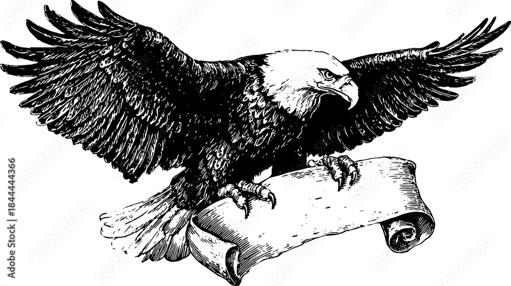 Obraz premium Eagle with outstretched wings grasping a scroll. Vintage black and white vector illustration showcasing detailed engraving techniques.