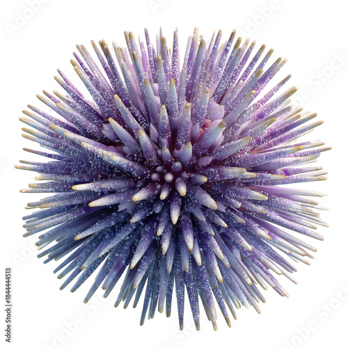 Colorful Spherical Object With Spikes and Points on a Solid Background