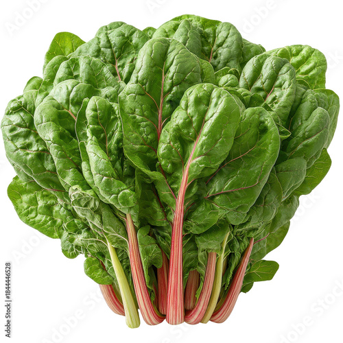 Green chard isolated on a white background