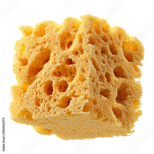 Natural Sea Sponge on a Plain Background for Cleaning and Bathing Use