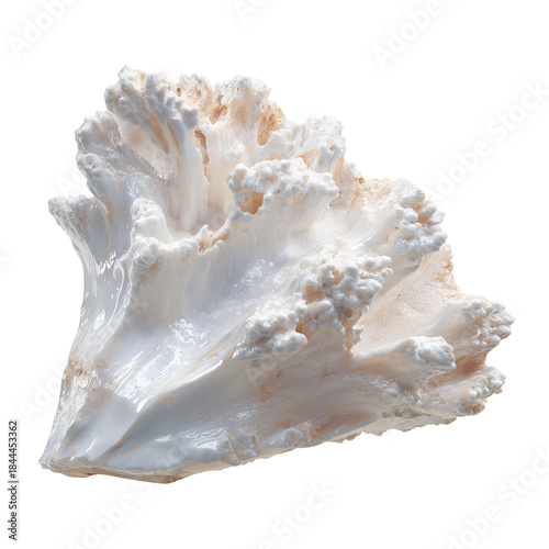 Coral Structure Found in Ocean Depths Showcases Unique Design and Color in a ...