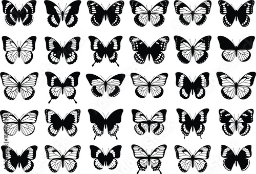 Collection of various black and white butterfly illustrations with diverse patterns