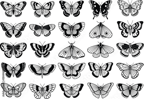 A collection of vintage monochrome butterfly and moth illustrations with intricate patterns