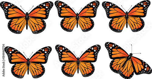 A graphic collection of six monarch butterflies with vibrant orange wings and black patterns