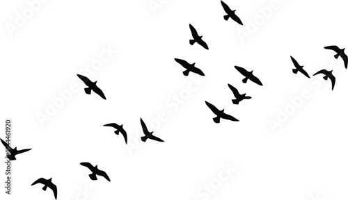 Black silhouette flock of birds flying in the sky, isolated on white background