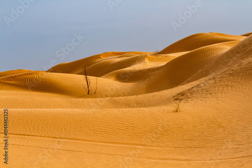 Foto The landscape of the Sahara