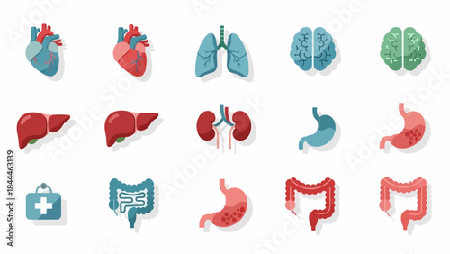Diverse set of human internal organ icons, designed with a clean flat style, perfect for educational, medical, and healthcare presentations and applications