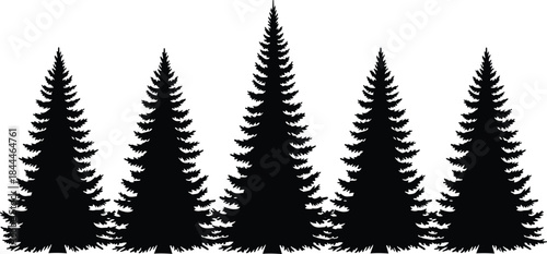 Evergreen tree silhouettes, black vector set, editable, isolated, symmetrical layout, forest shape, nature icon, landscape, pine, design