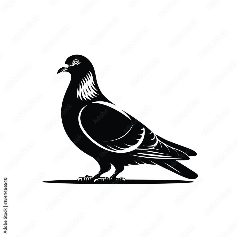 Obraz premium A striking black and white illustration of a peaceful pigeon standing