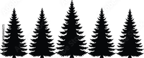 Pine tree silhouette set, forest vector pack, editable, isolated, conifer shape, nature icon, black evergreen, outdoor design