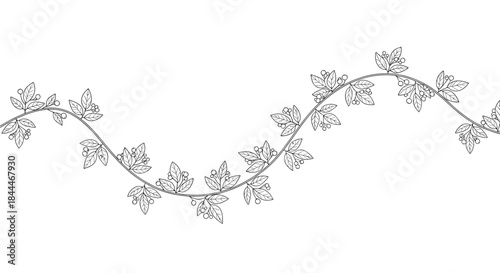 Elegant black and white vine pattern with curling branches and delicate leaves that gracefully flow across the page creating a timeless decorative border.