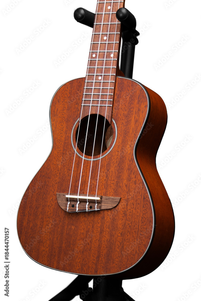 Obraz premium acoustic guitar isolated