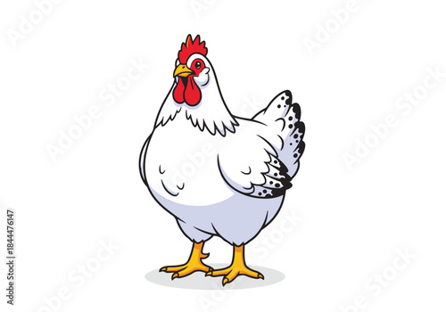 A cartoon illustration of a plump white hen standing on a white background.