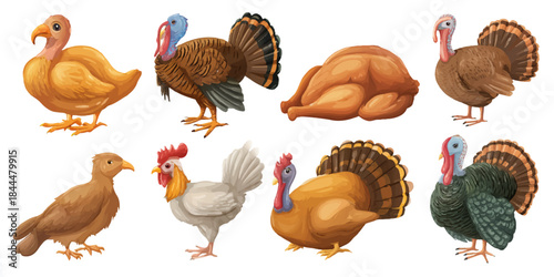 Diverse collection of poultry birds including turkeys, rooster, and a delicious roasted turkey