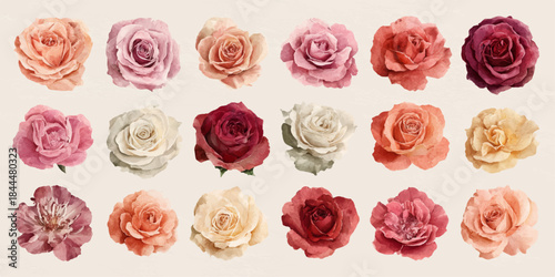 Collection of delicate watercolor roses in various soft pastel and vibrant colors arranged in a grid pattern