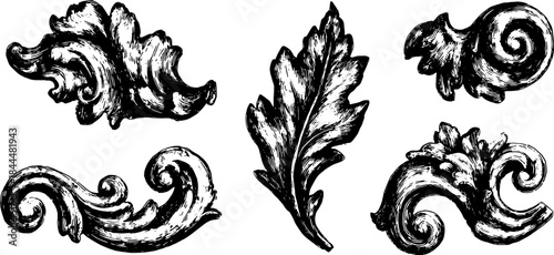 Decorative acanthus leaf illustrations. Elegant black and white vector set featuring intricate details for classic designs.