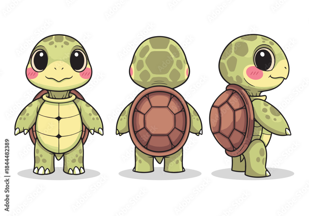 Fototapeta premium Cute cartoon turtle character from different angles.