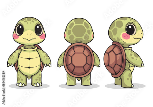 Cute cartoon turtle character from different angles.