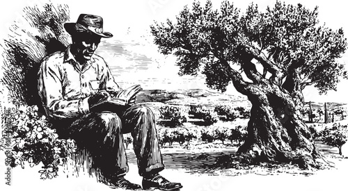 Man sitting under an olive tree reading a book. Black and white vector illustration capturing a tranquil, rural landscape.