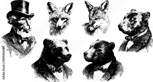 Engraving artwork of vintage animal portraits in a set. Features a bear and fox in tuxedos with detailed line work in black and white vector illustration.