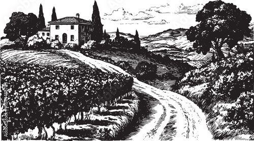 Winding country road through vineyard landscape. Black and white vector illustration of a rural house and trees in a scenic countryside.