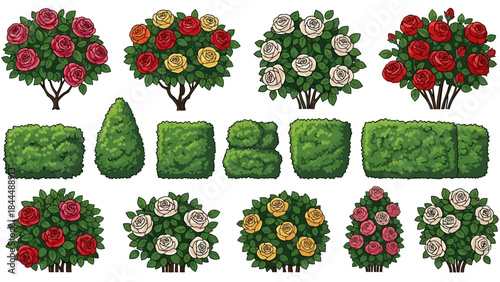 Vector garden blooming bush set, green spring rose hedge collection, shrub landscape objects. Park vegetation illustration, nature floral icons, outdoor decorative elements. Garden bush clipart