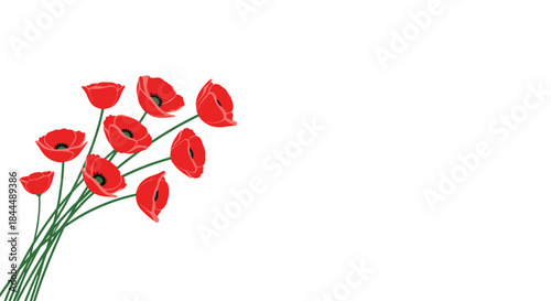 Vibrant red poppies with long green stems spread diagonally across a stark white background creating a bold floral illustration with bright color.
