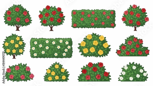 Vector garden blooming bush set, green spring rose hedge collection, shrub landscape objects. Park vegetation illustration, nature floral icons, outdoor decorative elements. Garden bush clipart