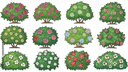 Vector garden blooming bush set, green spring rose hedge collection, shrub landscape objects. Park vegetation illustration, nature floral icons, outdoor decorative elements. Garden bush clipart