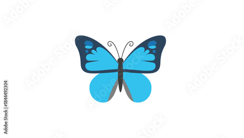 A minimalistic blue butterfly illustration with a white background and dark blue accents