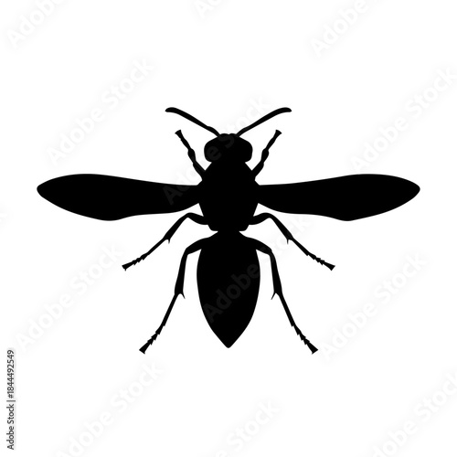 Black silhouette of a flying insect, likely a wasp or bee, with wings spread on a white background.