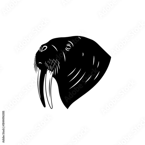 Black and white graphic illustration of a walrus head in profile, showcasing its prominent tusks and whiskers.