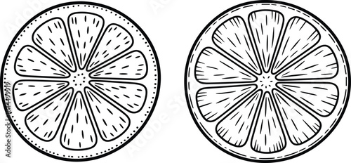 Citrus slice drawing, orange sketch, lemon illustration, fruit anatomy, segment texture, black and white artwork, botanical design, juicy detail