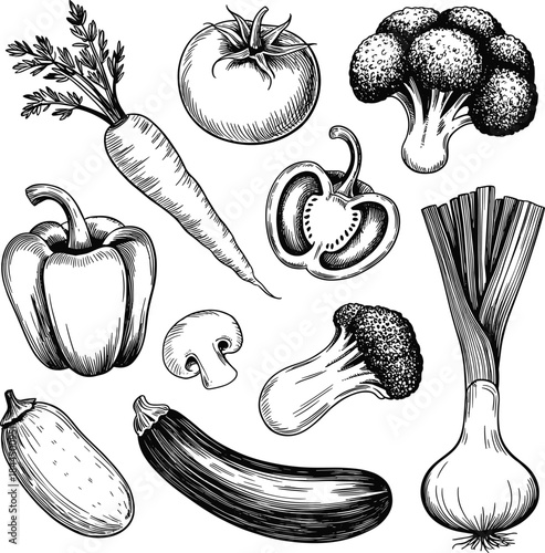 Vegetable sketch, hand-drawn illustration, black and white artwork, tomato, carrot, mushroom, broccoli, bell pepper, onion, zucchini, cucumber