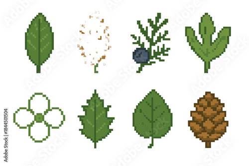 Pixel Forest Icons. Mixed Forest Tree Set set of icons in flat pixel vector style: magnolia leaf, cottonwood fluff, juniper berry branch, sassafras leaf trio, dogwood blossom icon,