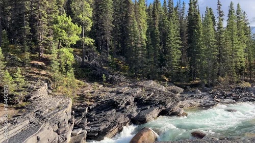 Pan View of Small Stream in Pine Forest in Canada. 