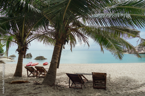 Tropical beach scene with beach loungers and palm trees. Beach with sun loungers casting long shadows on sand. Sun loungers and clear blue sky, perfect for relaxation.