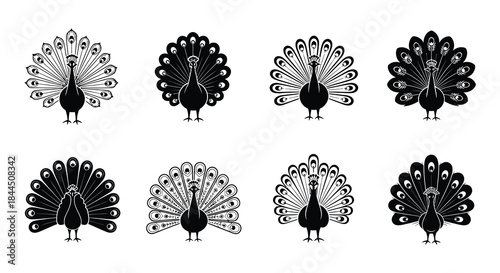 Elegant peacock silhouettes a collection of striking bird designs in black and white
